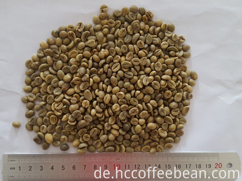 Robusta grüne Kaffeebohnen, neue Ernte, gewaschen, poliert Klasse A, Sieb 16